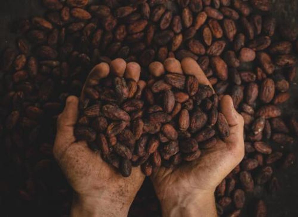 462620876_1304711267186536_8668051336048008066_n