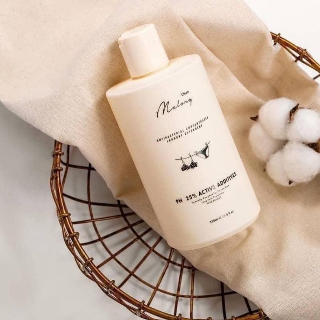 493014041_1446905152967146_1954280134564542385_n