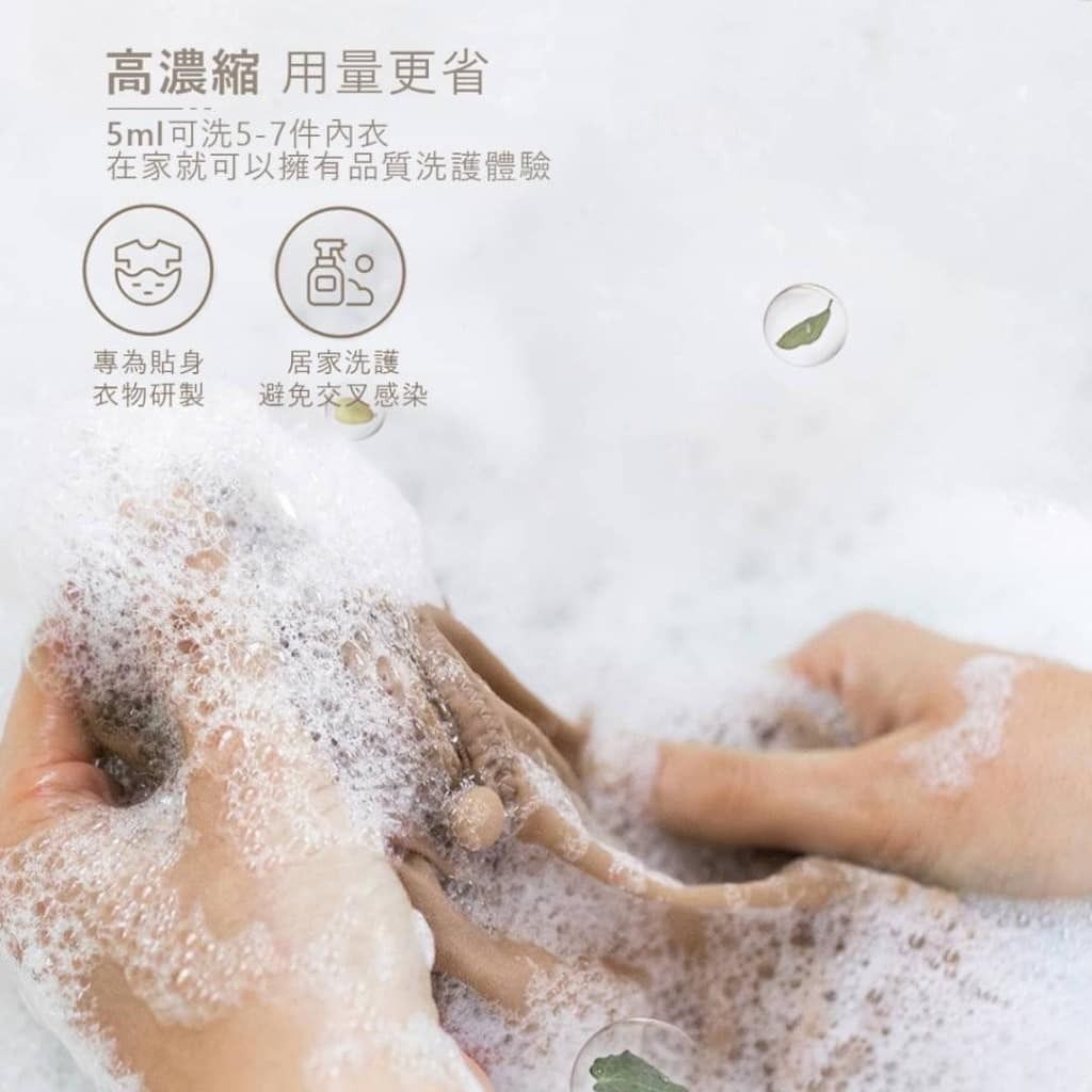 493262276_1446905262967135_8265322853646591457_n