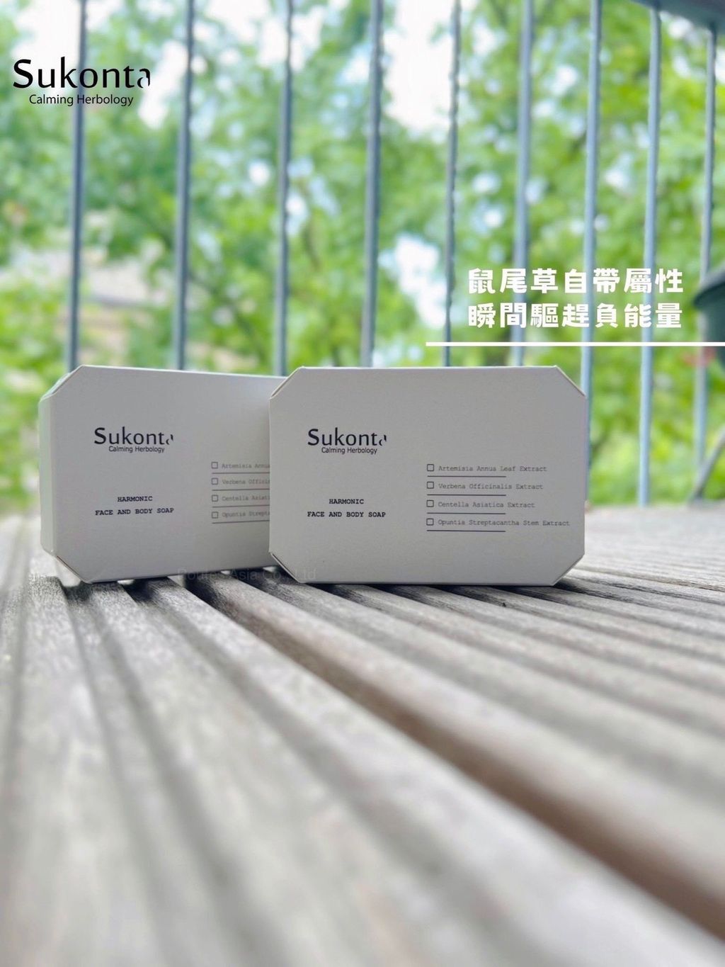 499247557_1467939810863680_5702358013532585336_n