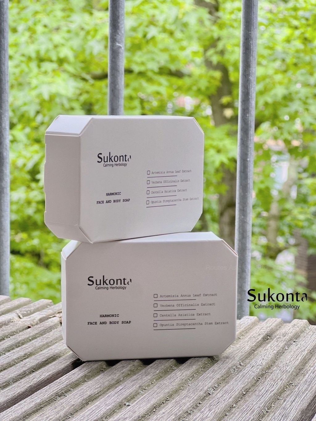 498550491_1467939697530358_566982809003261844_n