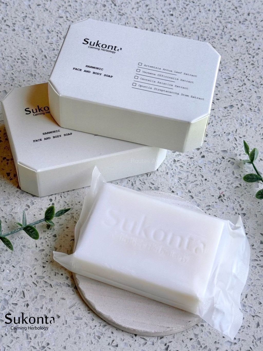 499209062_1467939727530355_1799122329669350904_n