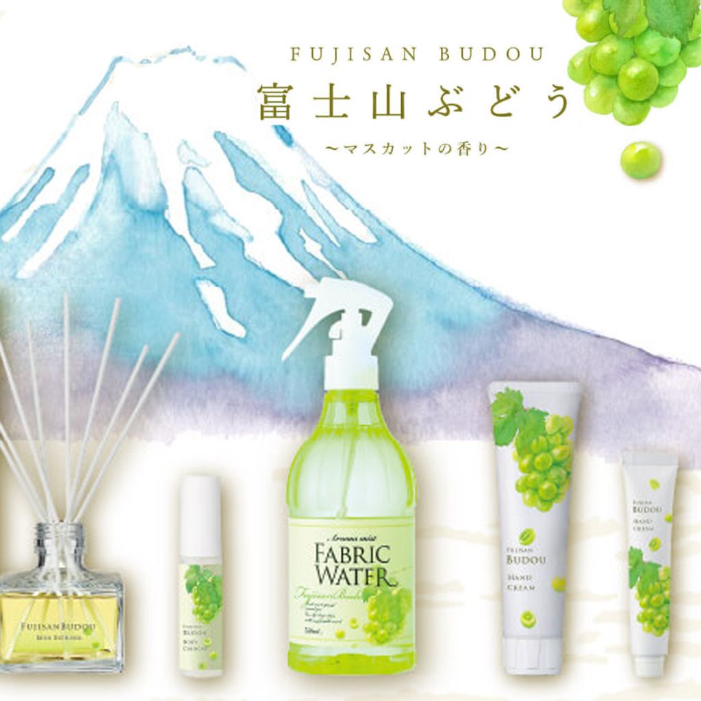 480438743_1402080084116320_3932802138074067697_n