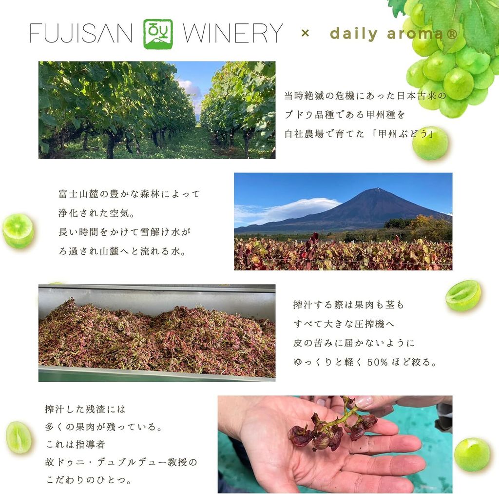 480461927_1402080010782994_337735593903984903_n