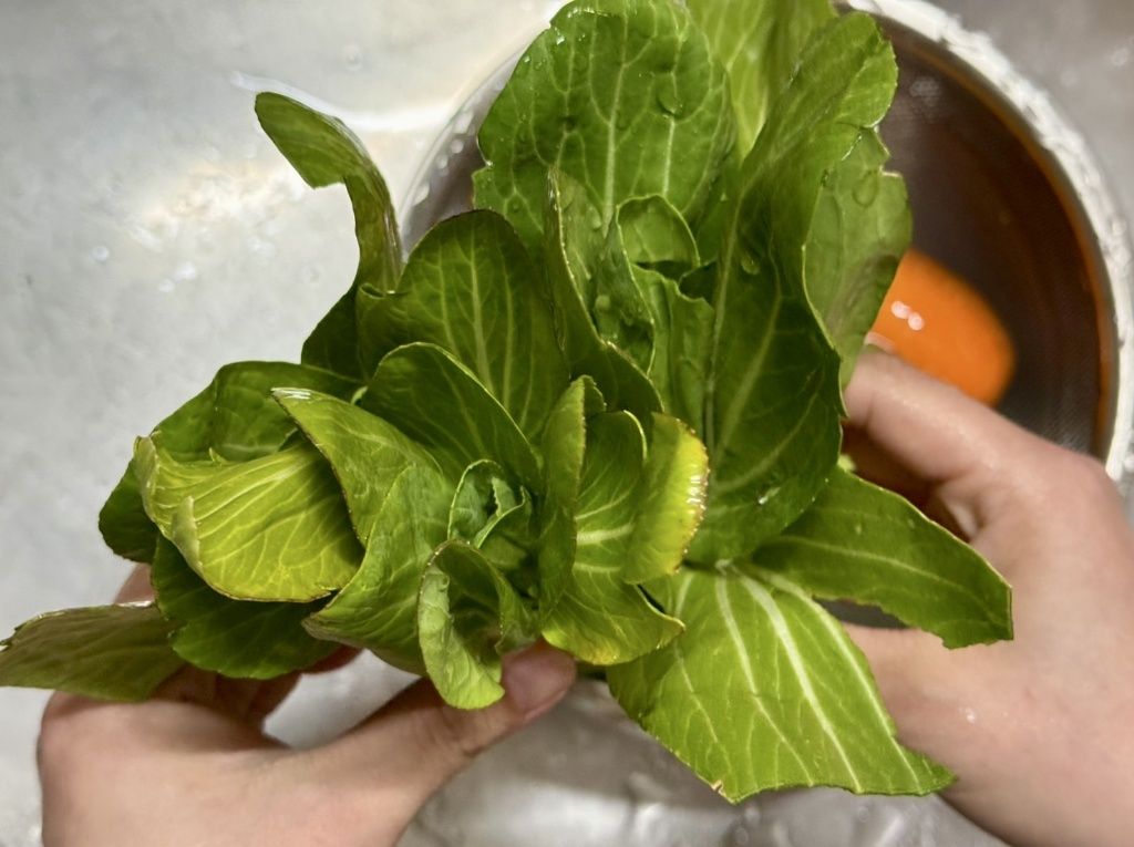 596373215_1629818751342451_8819144443328068852_n