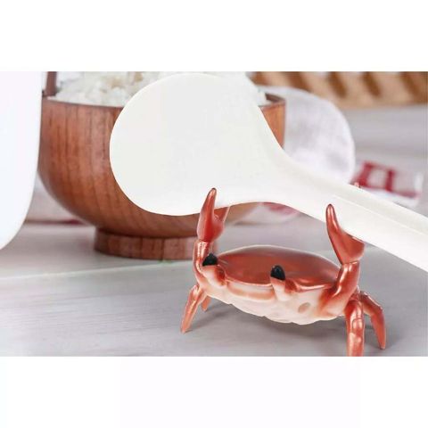 561733689_1585934935730833_5357740128406190774_n