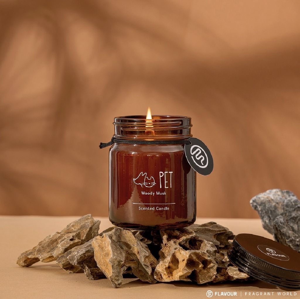 476845744_1393730564951272_3706661812290876629_n