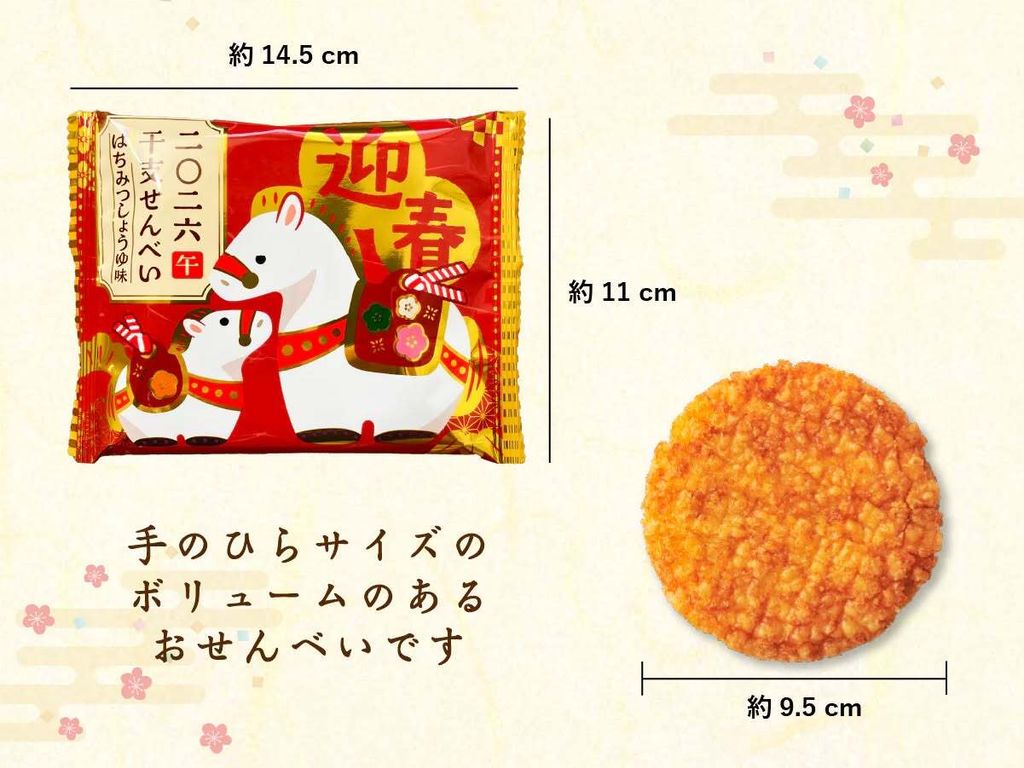 592744294_1625985105059149_7788281282127277319_n