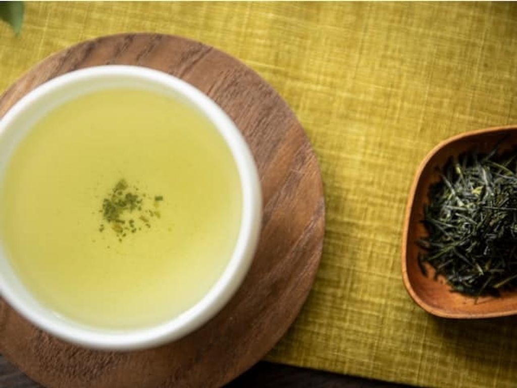 481670098_1410836229907372_2492219727695668733_n