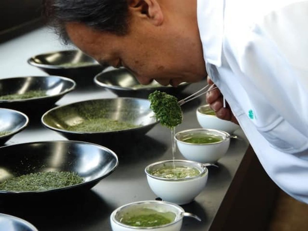 482809107_1410836383240690_8396448828559566513_n