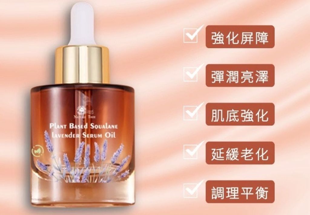 491516049_1443866883270973_2064472625596125514_n