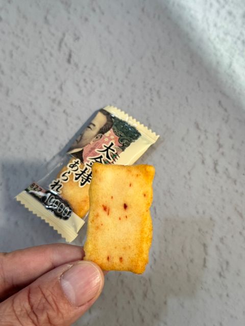 616820134_1656224662035193_8422557382372506006_n