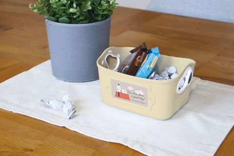 548771742_1560373278286999_3863286259734826043_n