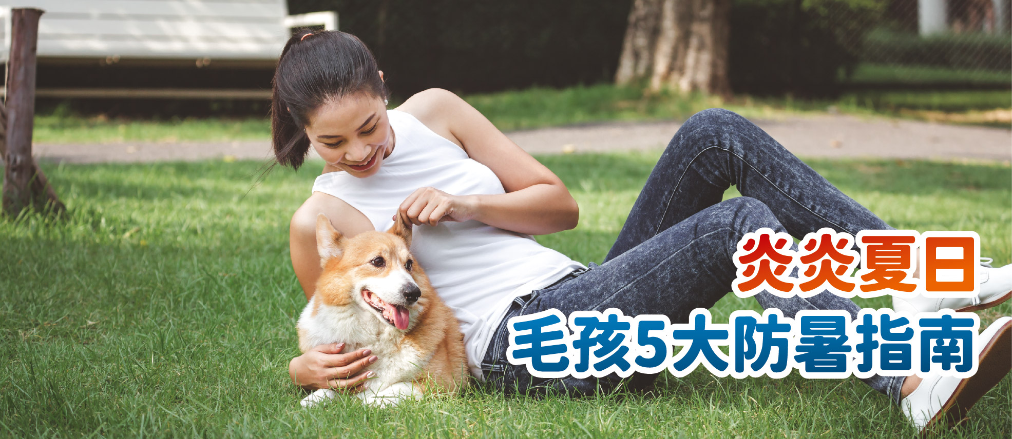 【寵物生活】夏日熱浪來襲！帶毛孩外出必看的 5 大防暑指南，守護心愛寶貝不中暑