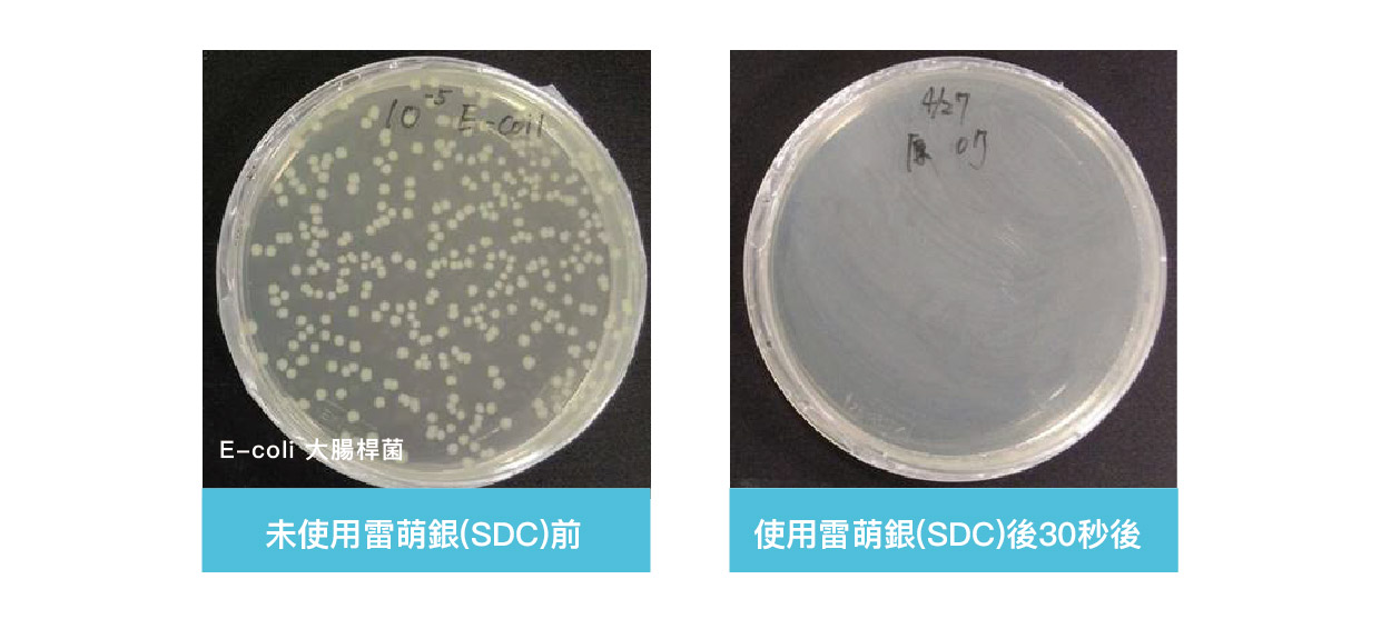 大腸桿菌前後對比.jpg