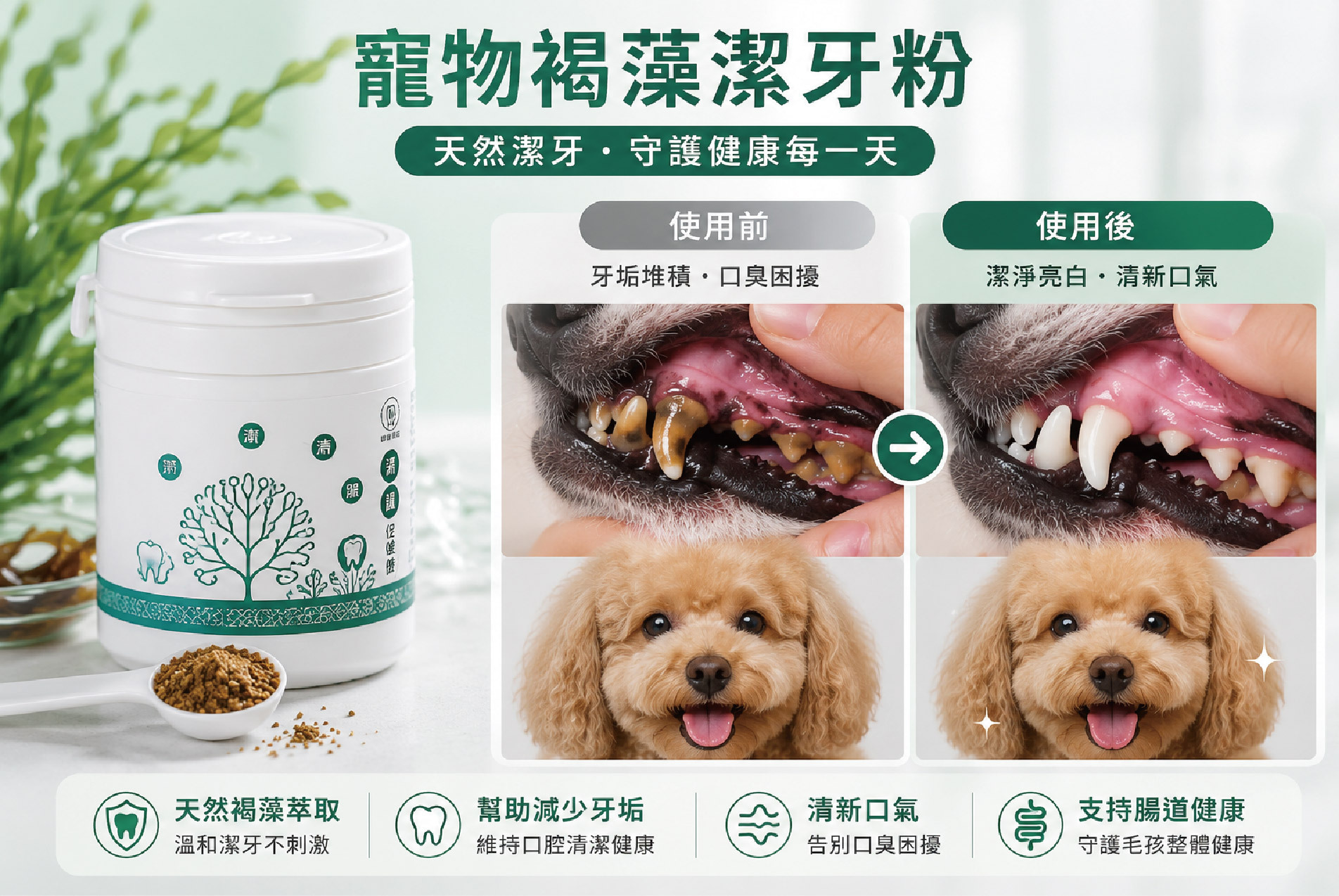 寵物褐藻潔牙粉-02