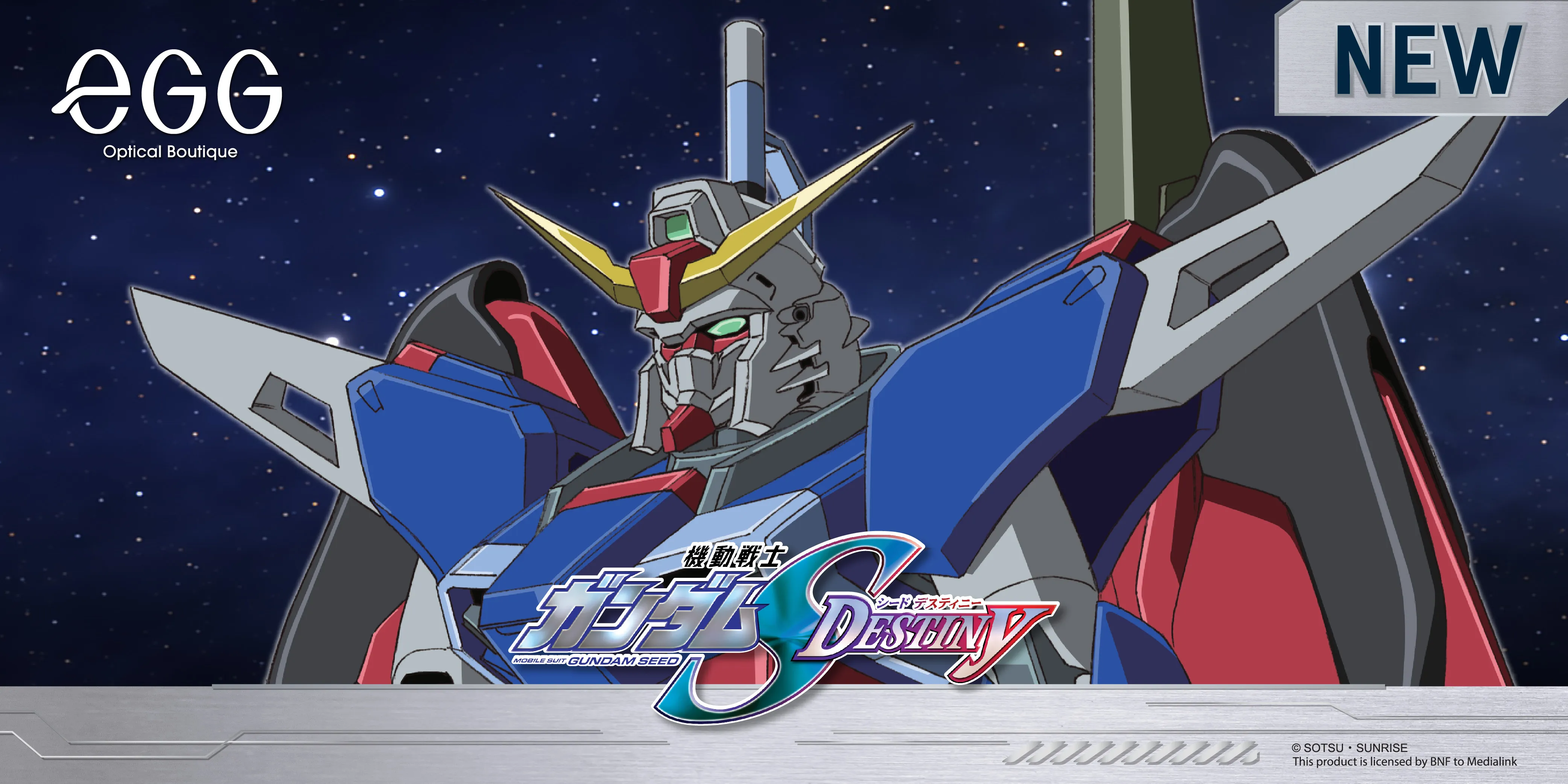 FB Gundam Seed Destiny-10