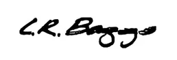 LR BAGGS LOGO.JPG