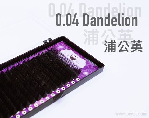 0.04-dandelion.jpg