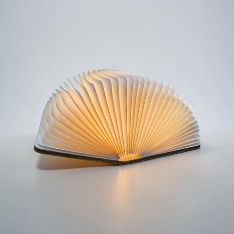 LAMP BOOK