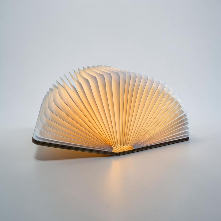 LAMP BOOK