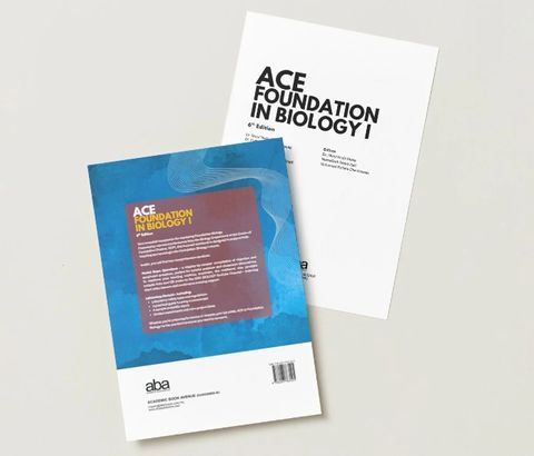 back Ace foundation in bio 1 6e