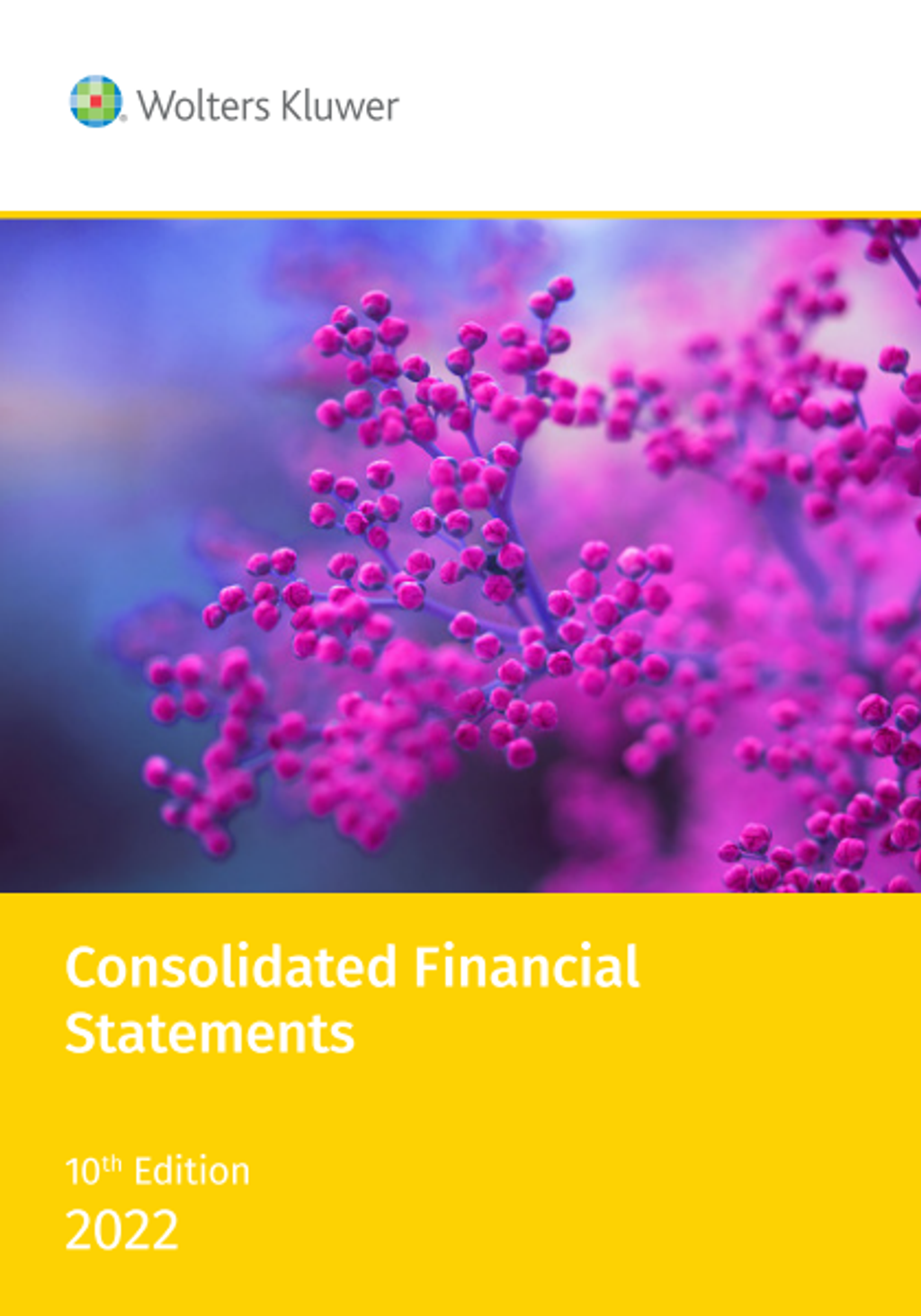 Consolidated_Financial_Statements_10th_ed.png