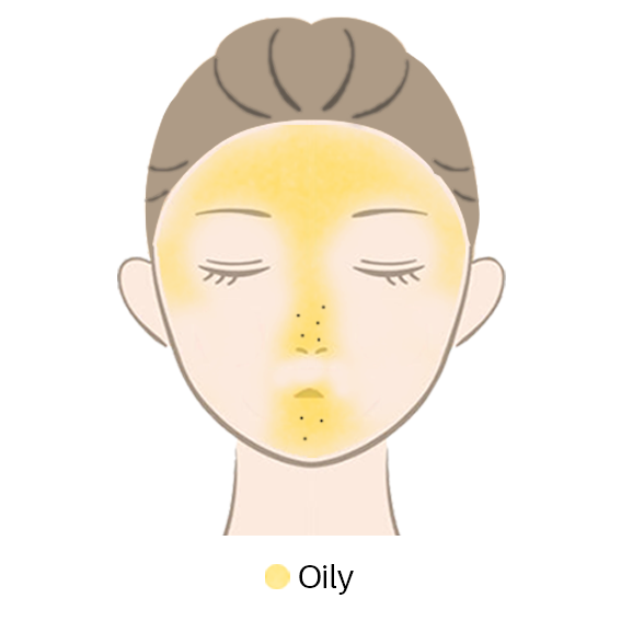 NORMAL-OILY.png