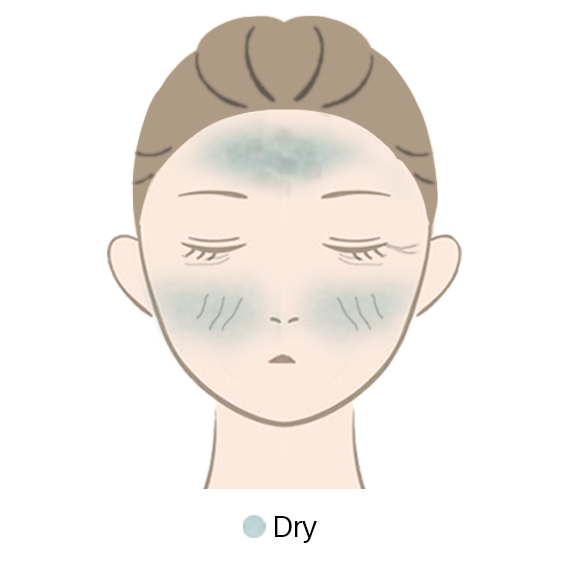 NORMAL-OILY.png