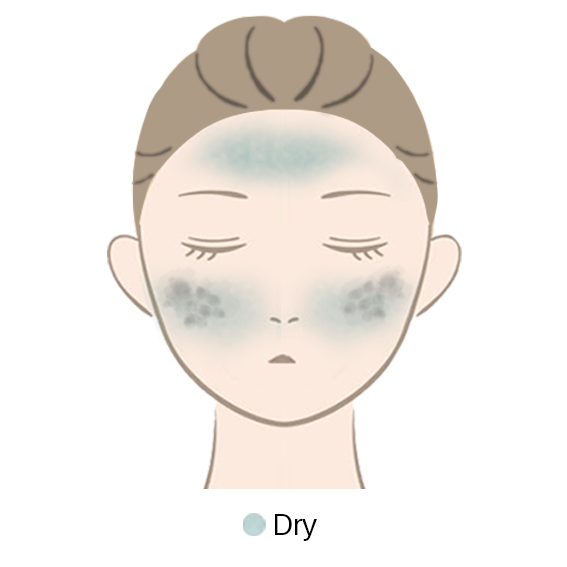 NORMAL-OILY.png
