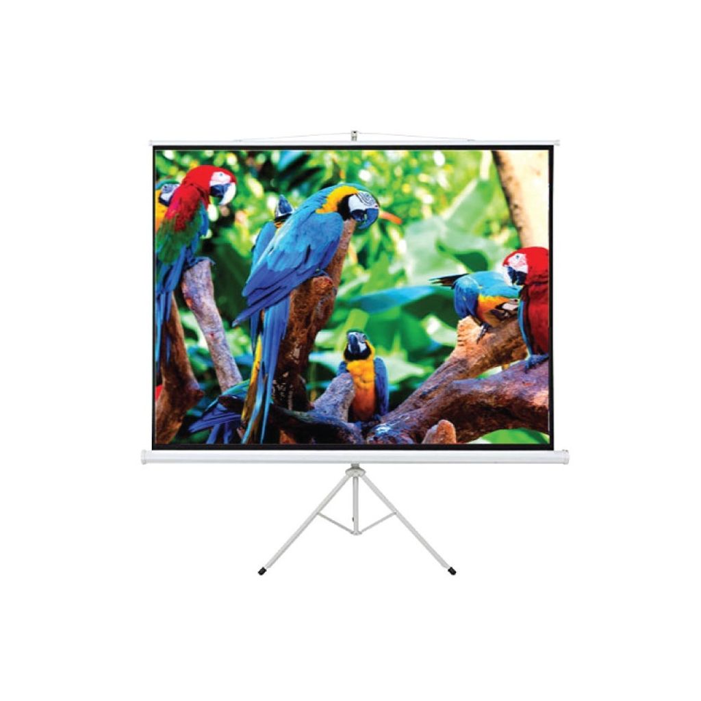 ff8ff3a536b428c5112683ebc3b82bb9