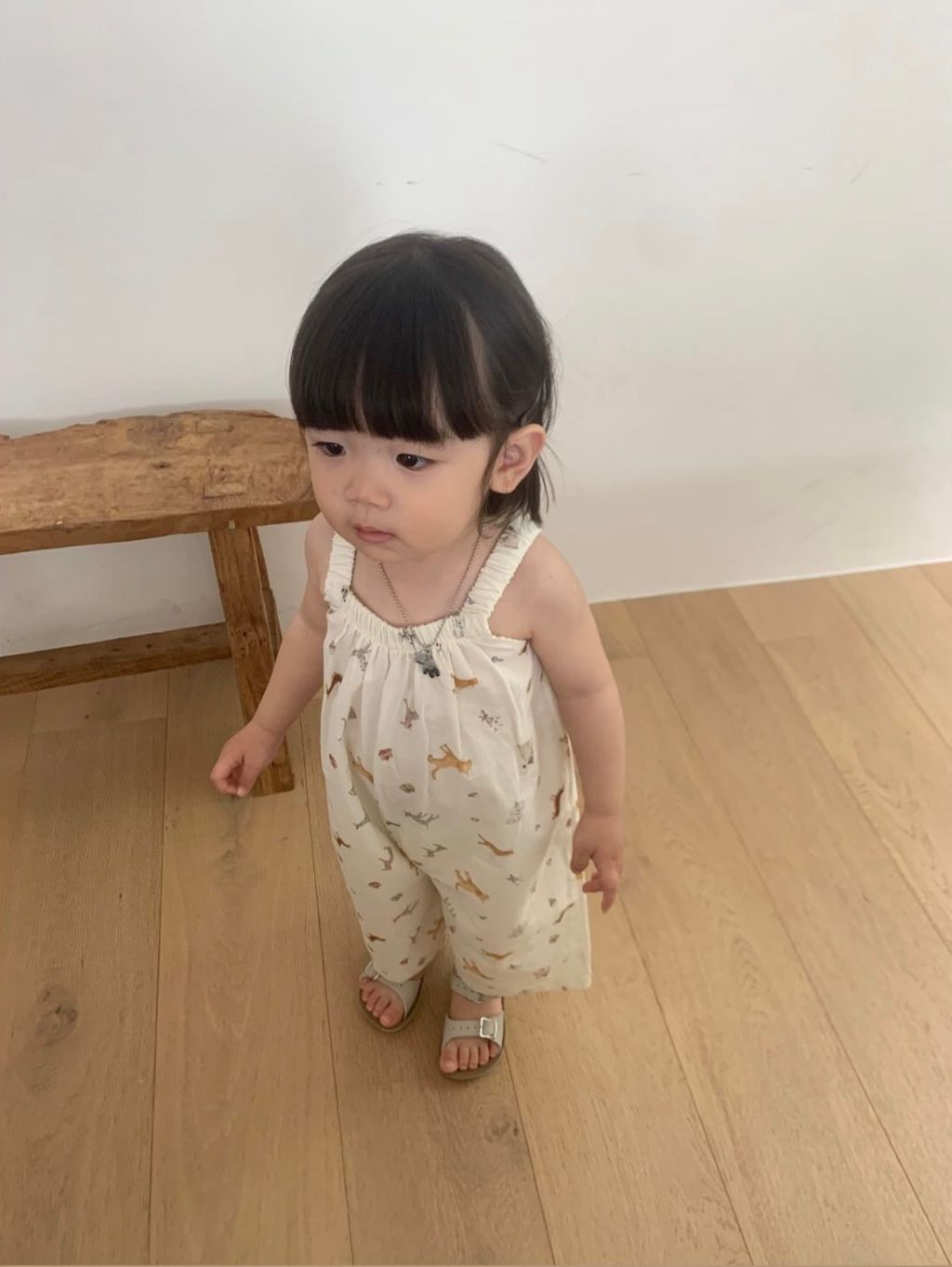 image_5422E809-3C8C-44D9-A00B-999C3433BDE6_1776576349