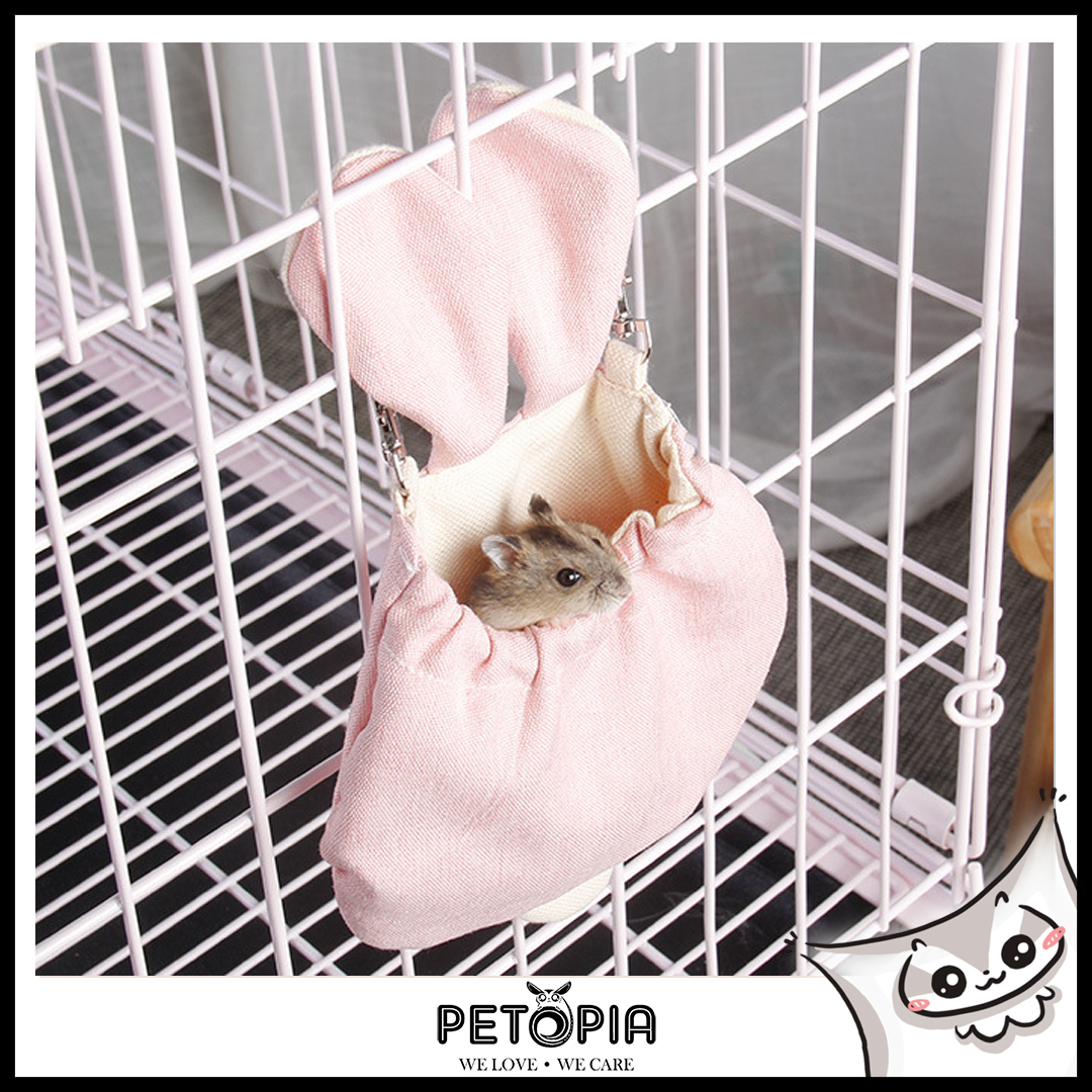 sugar glider bedding