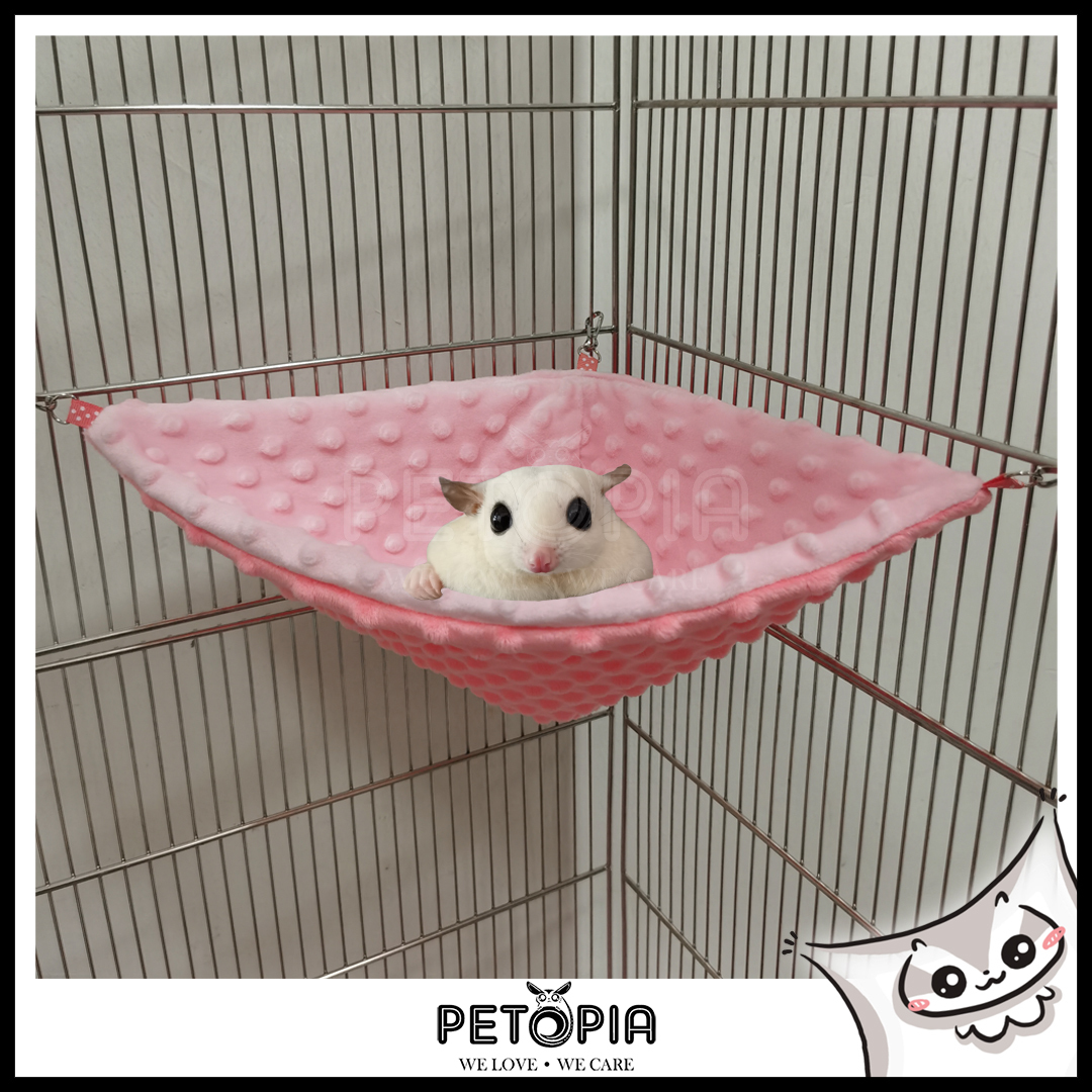 sugar glider bedding