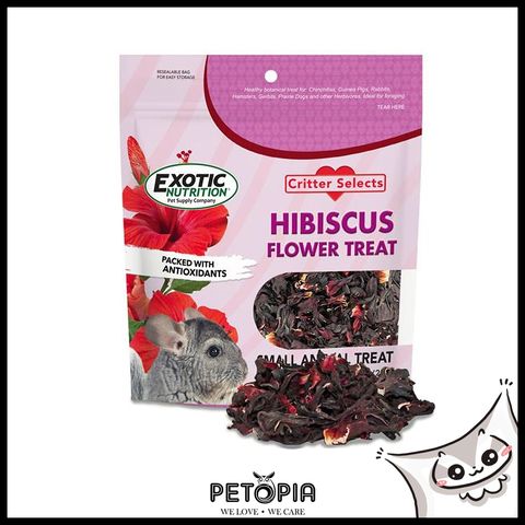 Hibiscus2.jpg