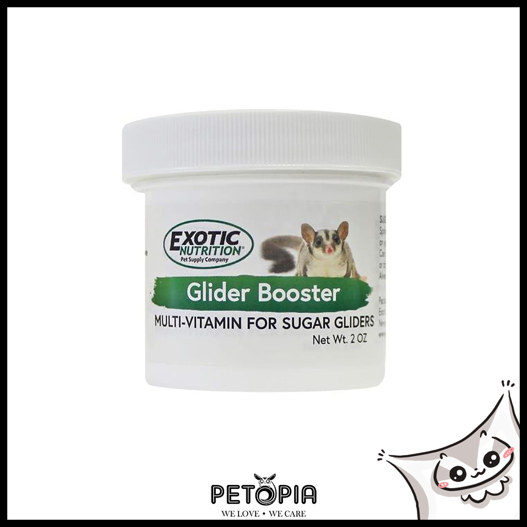 sugar glider supplements