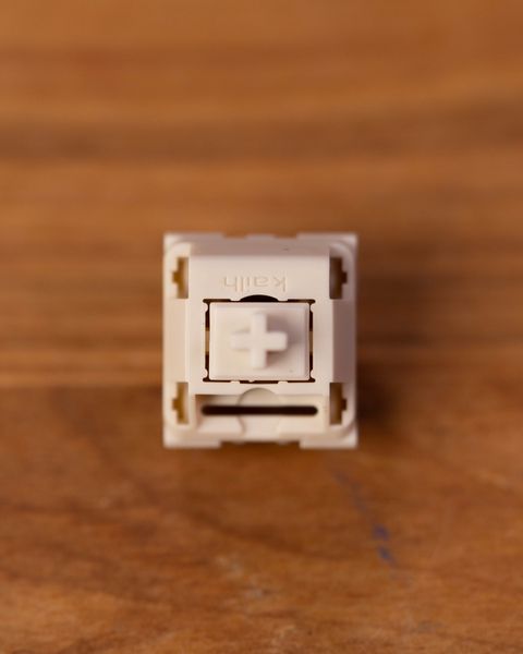 DSC07546.jpg