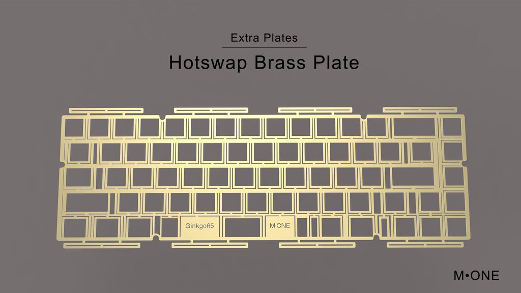 Hotswap Brass Plate