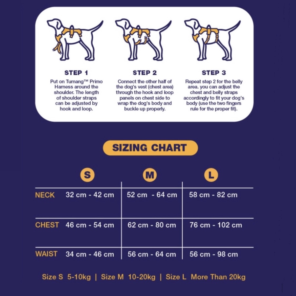 sz chart