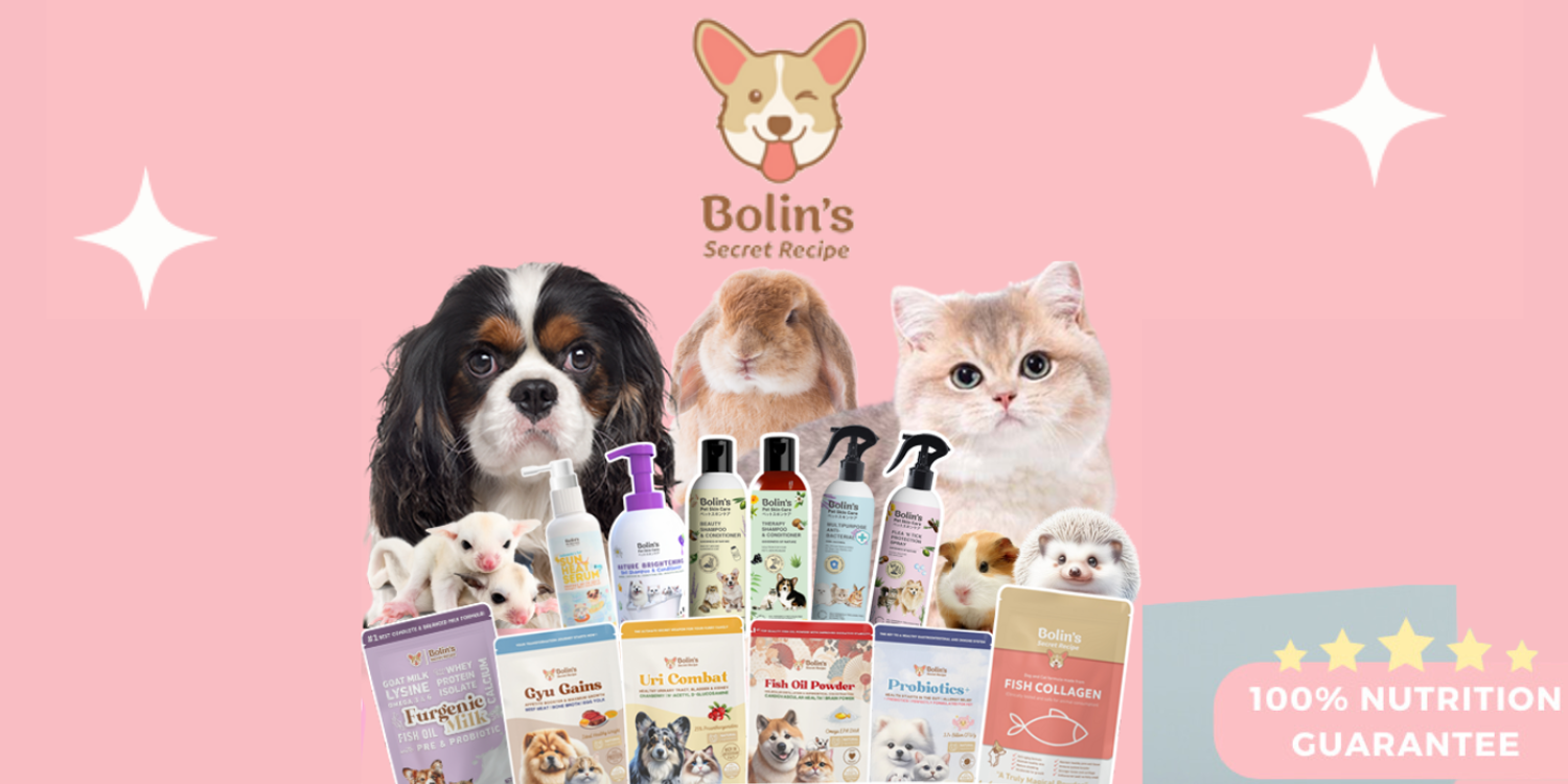 PETSBOUTIQUE | 