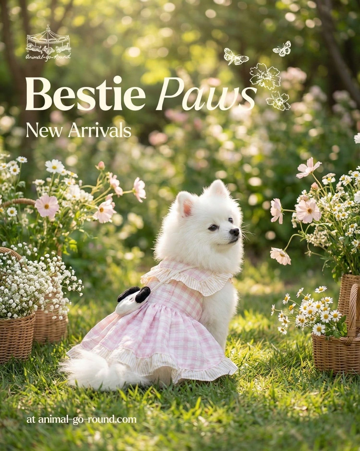 https://cdn.store-assets.com/s/402899/f/16435468.jpeg