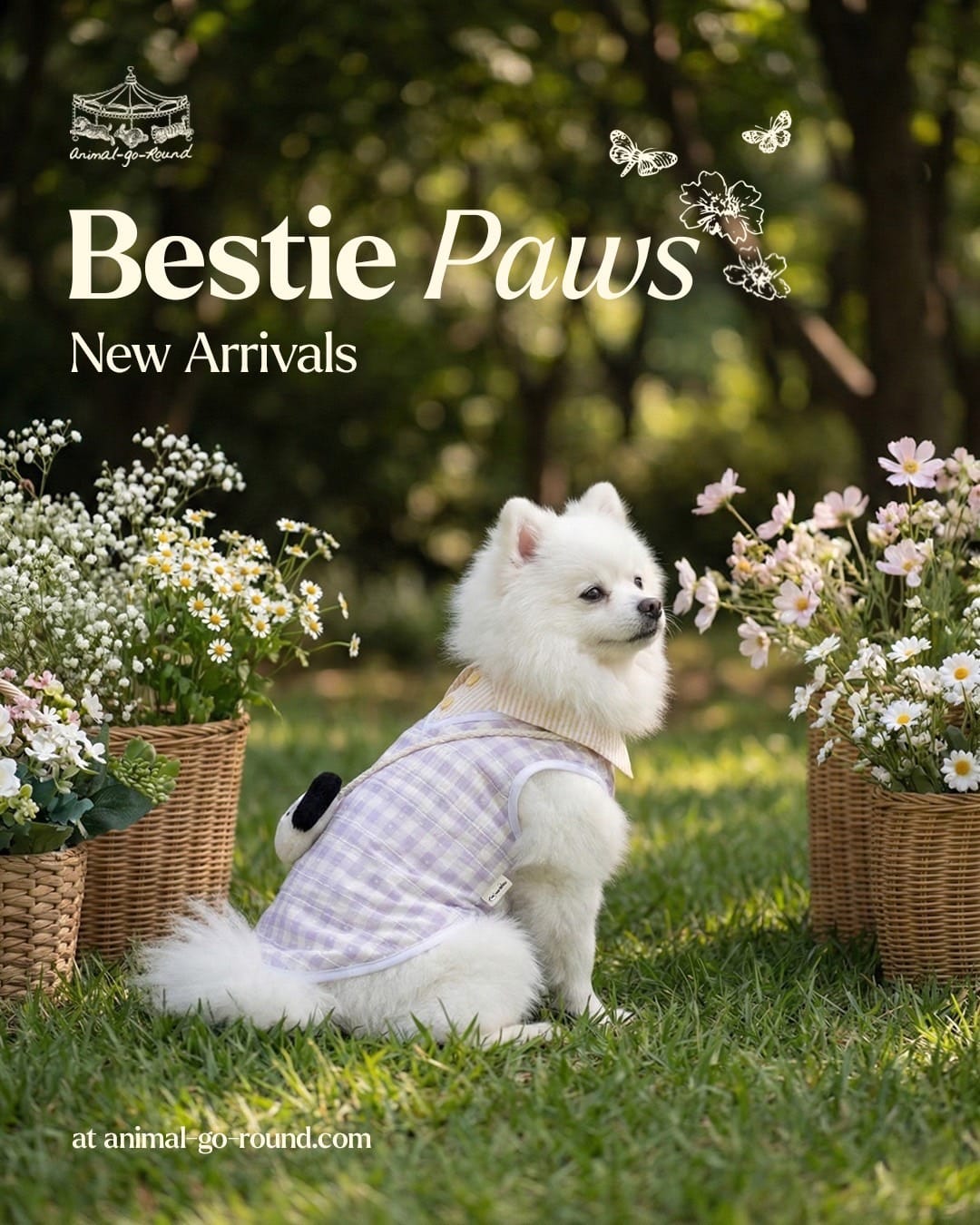 WhatsApp Image 2025-12-19 at 10.06.28 (1)