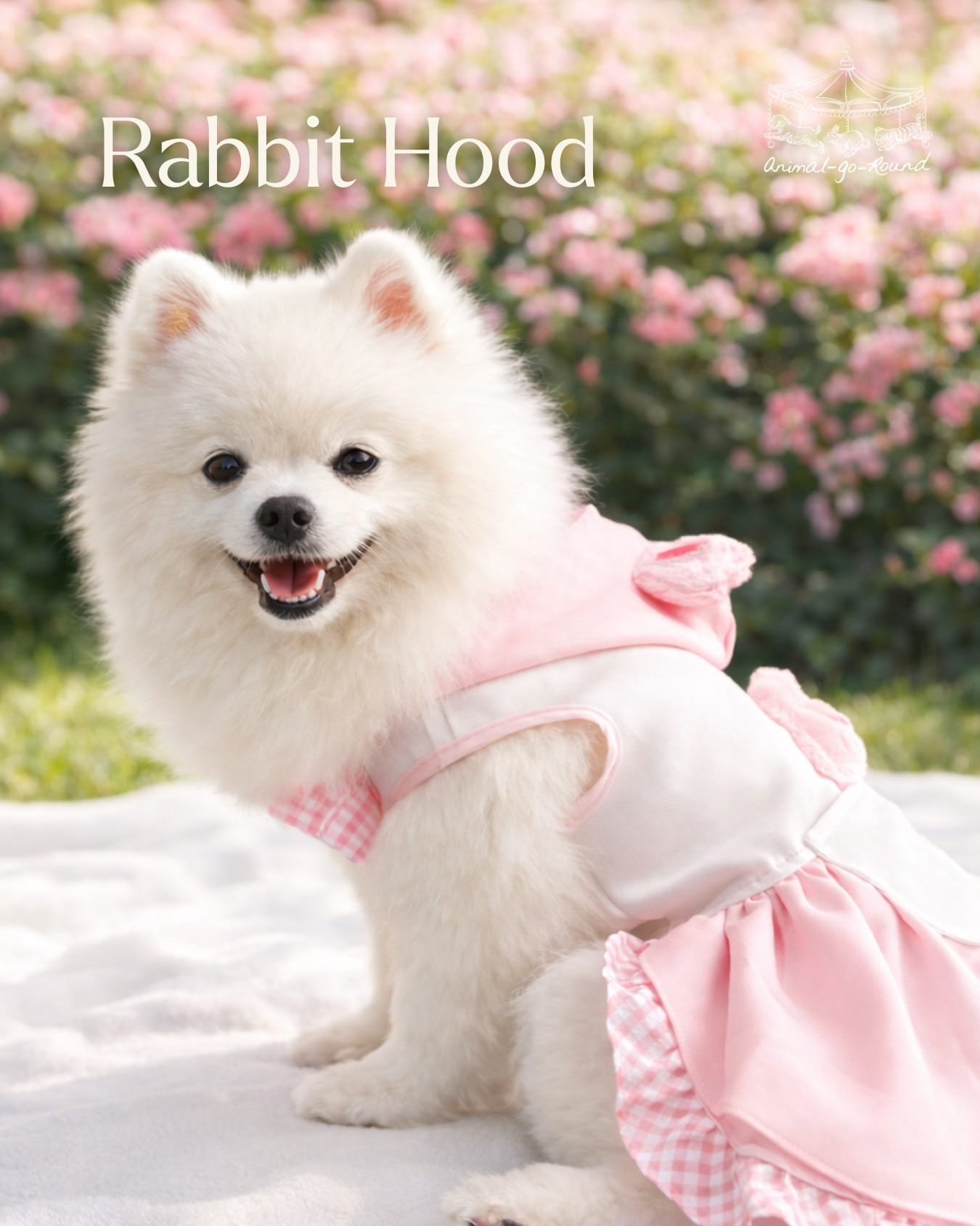 bb25ba0d-a910-4b6d-9a98-df983f83ee44