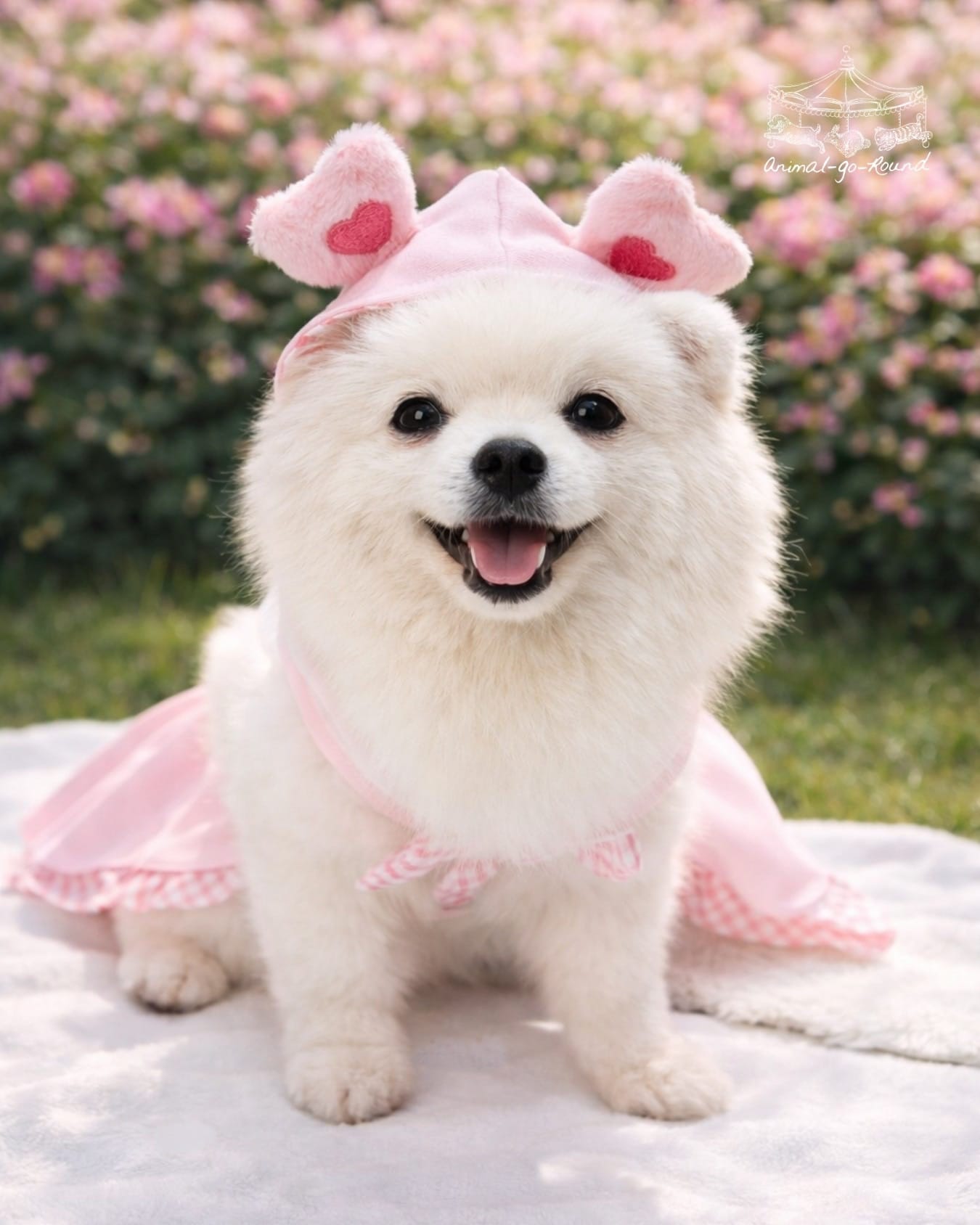 01819c38-96a2-4274-8253-8c054e8b82eb