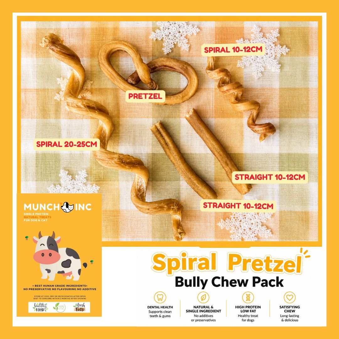 Spiral Pretzel