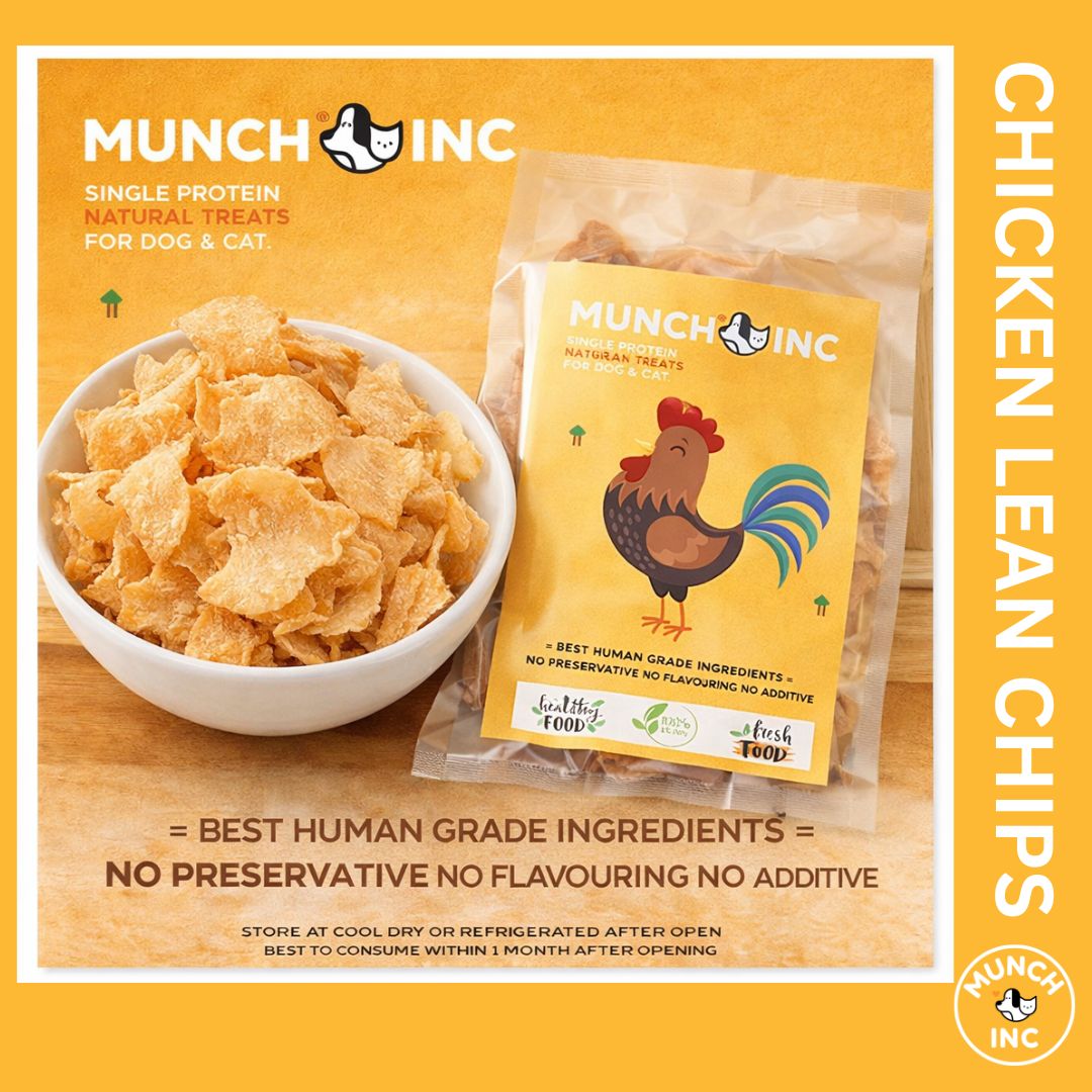 Chicken Lean Chips