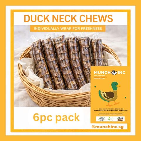 Duck Neck