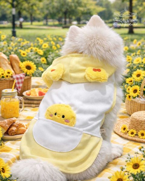 5dcd1064-e19a-415d-b4d0-b71a9a0996e7