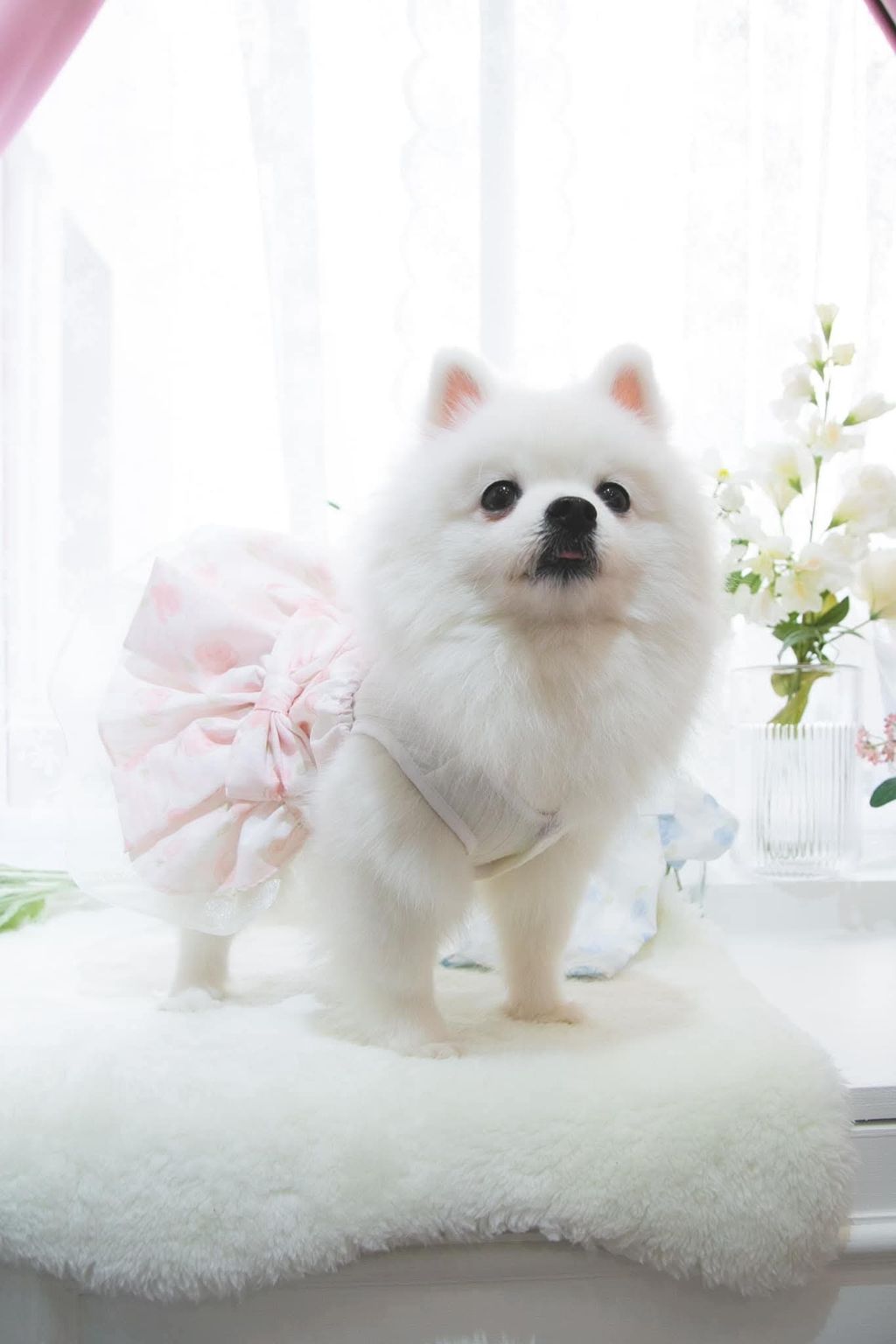 FB_IMG_1737346132397