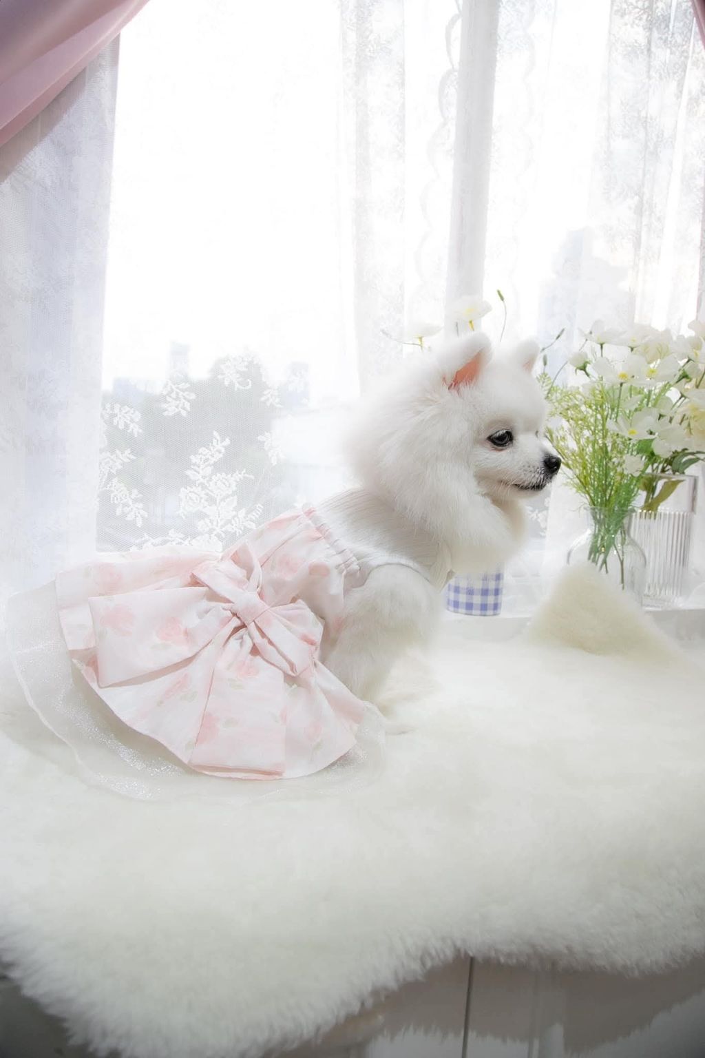 FB_IMG_1737346129367